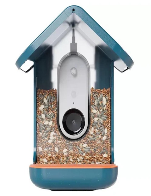 Alimentador automático Birdbuddy para ave