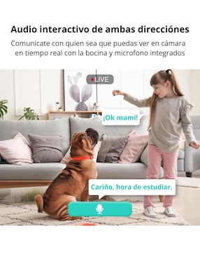 Cámara Wi-Fi de seguridad 360 inalámbrica HD 360° con capacidad para grabar para interior