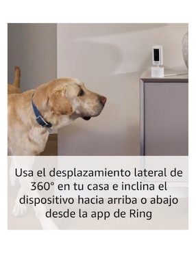 Cámara individual de seguridad Ring alámbrica HD 360° con capacidad para grabar visión nocturna para interior