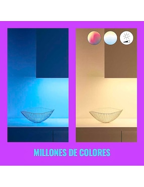 Tira led smart LED Wiz Connected 929003213406 con 12 focos