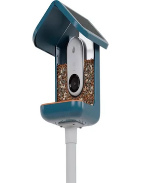Alimentador automático Birdbuddy para ave