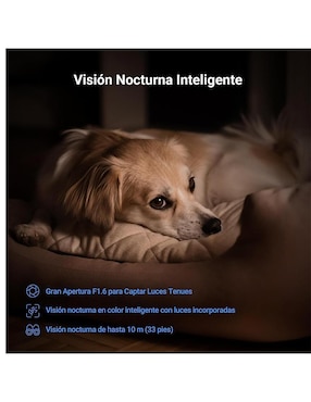 Cámara individual de seguridad Ezviz modelo C6N G1 4K inalámbrica 4K UHD 110° con capacidad de grabar para interior