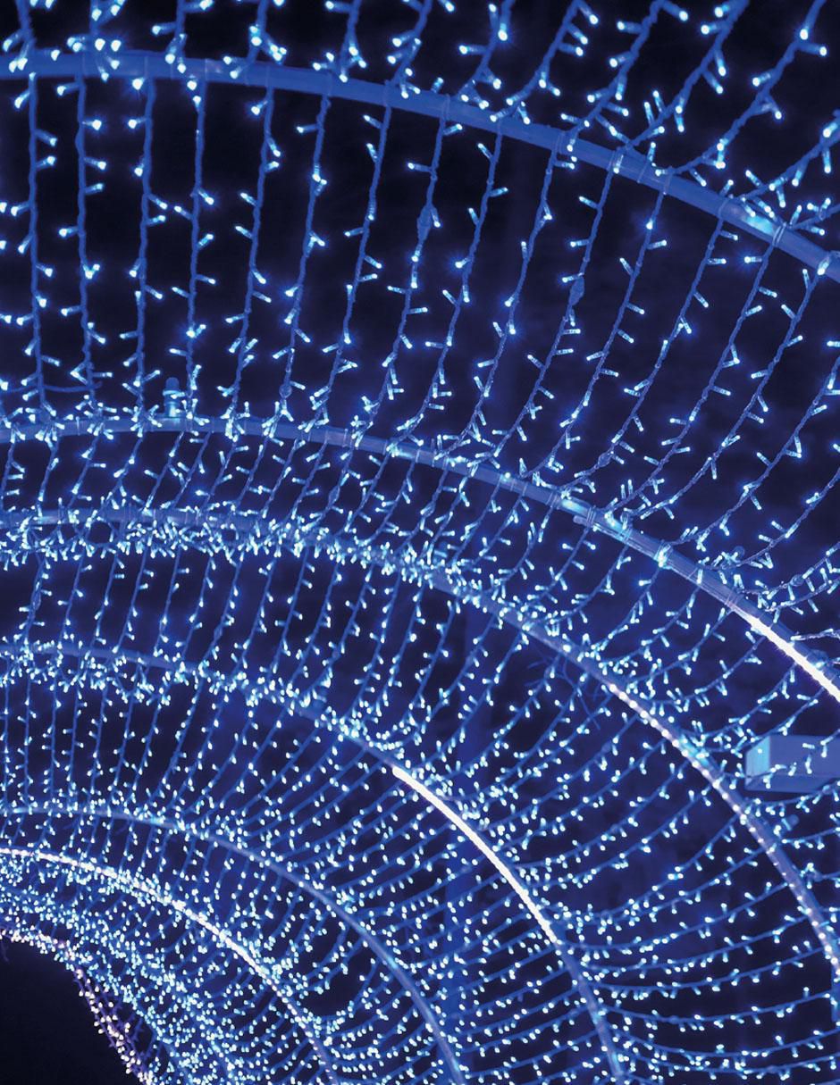 Tira led smart con 500 focos 2