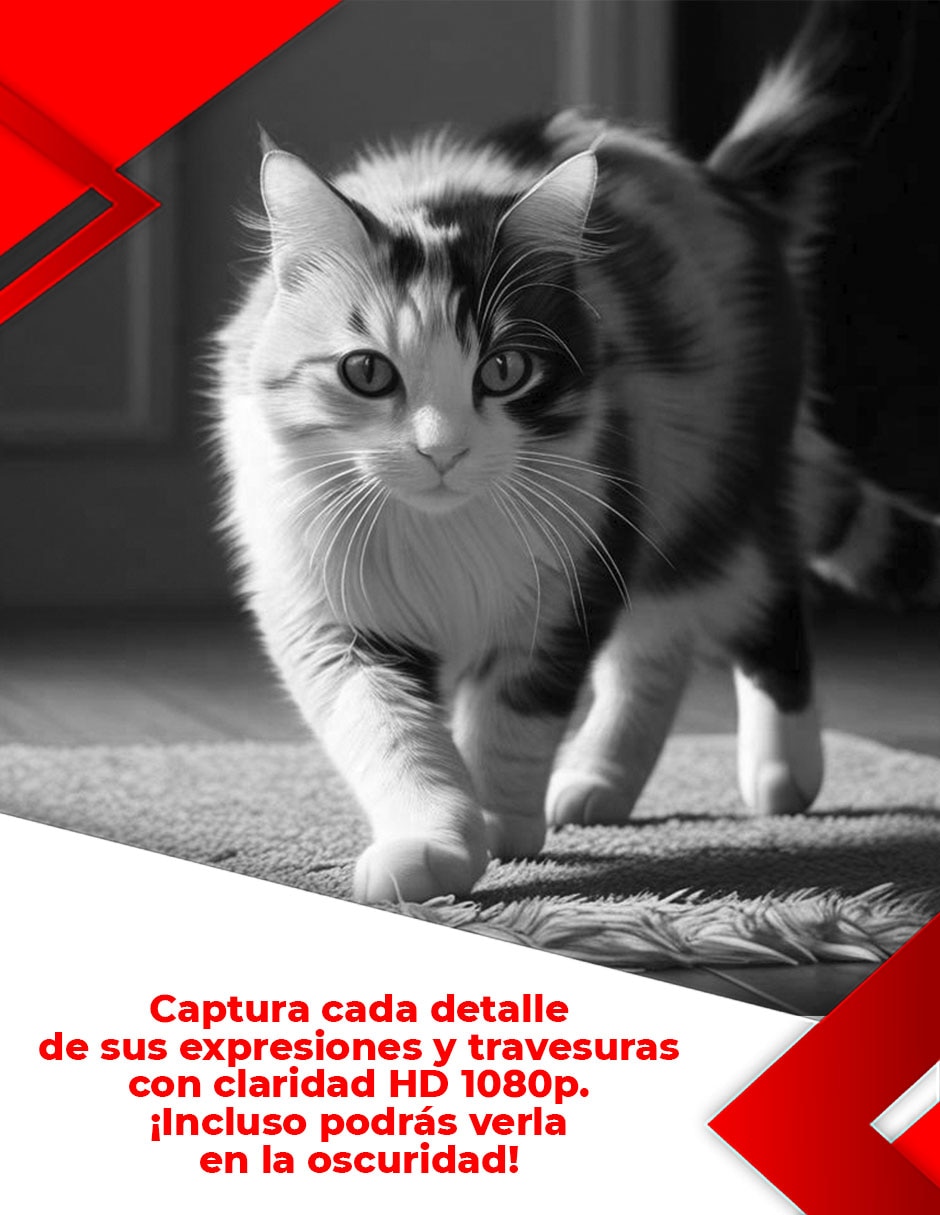 Cámara Wi-Fi de seguridad inalámbrica Full HD 75° con capacidad para grabar visión nocturna para interior 7