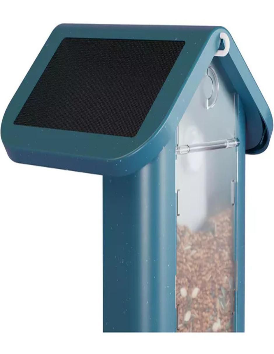 Alimentador automático para ave 6