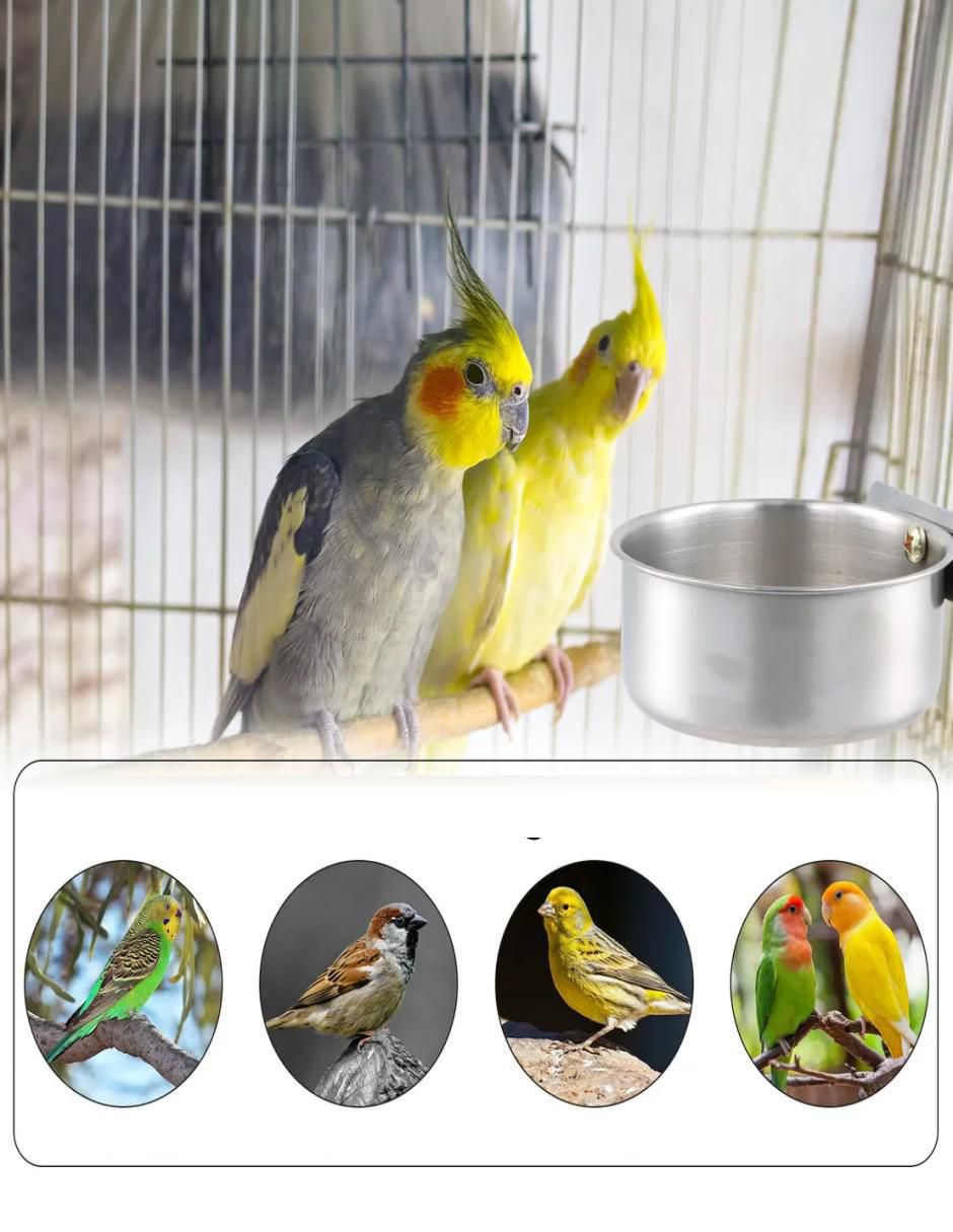 Bebedero para colibrí 500 ml 2
